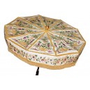 Parasol 